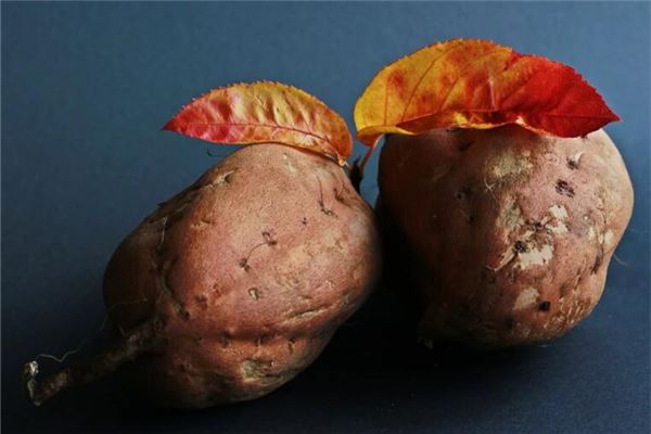 夢見用手扒紅薯_周公解夢