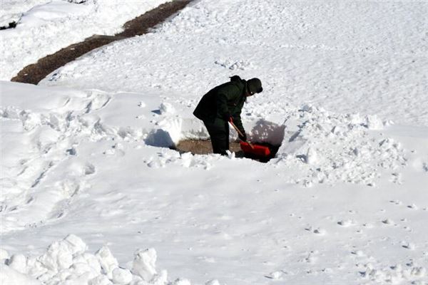 夢見鏟雪預示著什麼_周公解夢