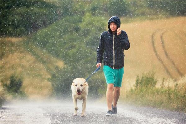 男人夢見下雨_周公解夢