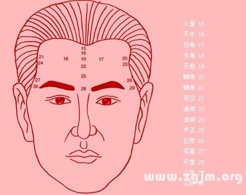 蘇氏面相學：額頭