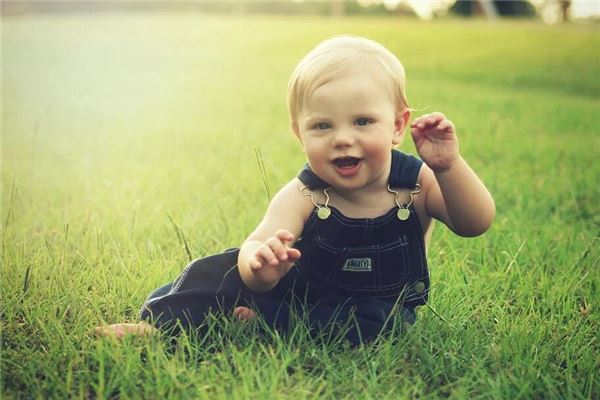 2019年男屬豬的性格如何_十二生肖