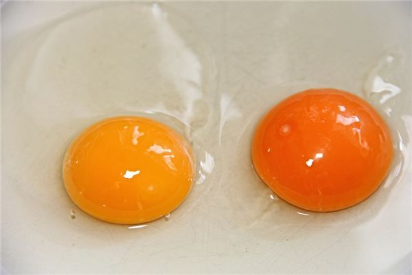 夢見蛋黃_周公解夢