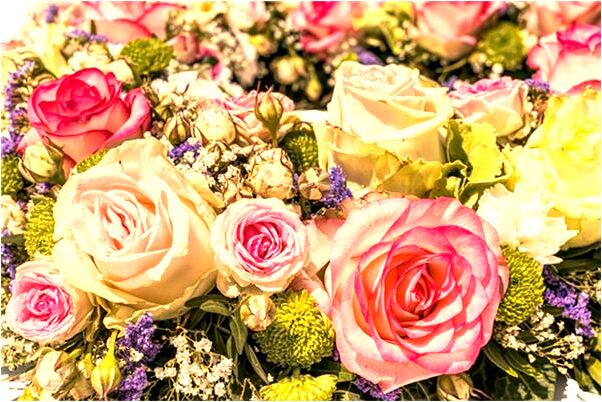 夢到車陷入泥潭會是什麼預兆_周公解夢官網