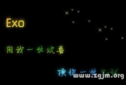 最新exo網名大全