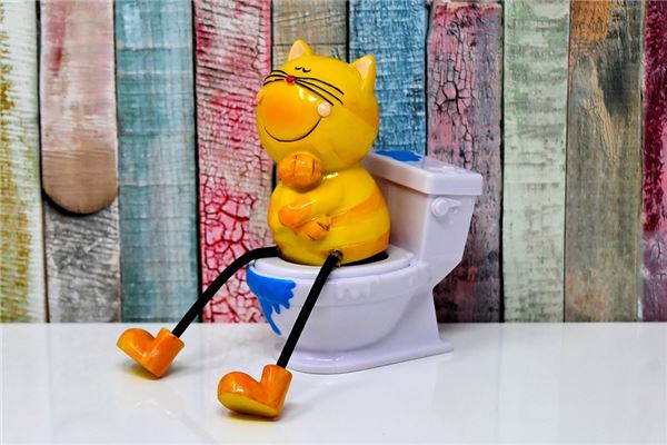 夢到了掉進廁所了是什麼預兆_周公解夢