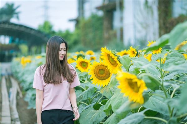 夢見想採花,被別人阻止,然後打架。_周公解夢