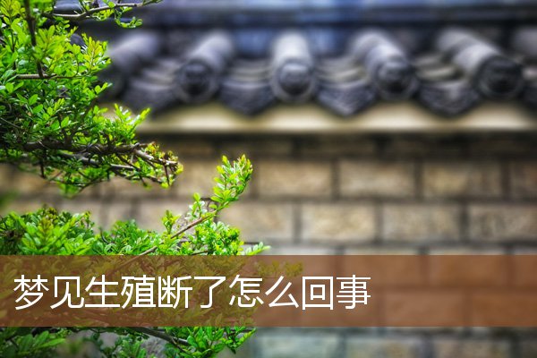 夢見生殖斷了怎么回事_周公解夢