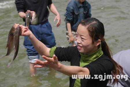 夢見抓到魚