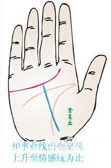 事業線由金星丘上升至情感線預示著什麼？
