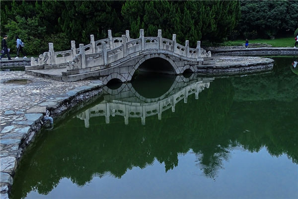 夢見水塘_周公解夢