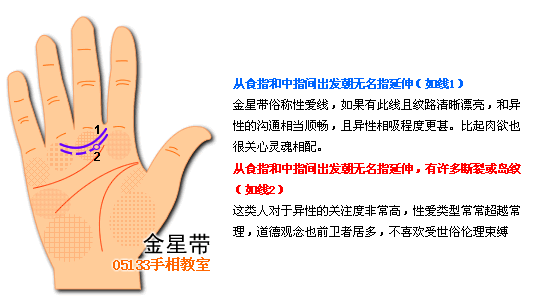 各類掌紋支線圖解_看相大全