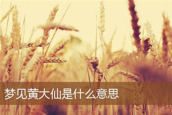 夢見黃大仙是什麼意思_周公解夢