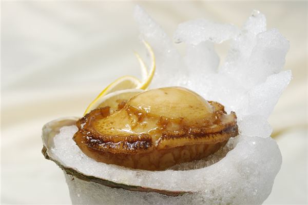 夢見鮑魚什麼意思_周公解夢