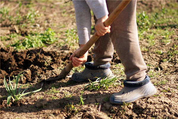 夢見很多人拿鐵鍬幹活是怎麼回事_周公解夢