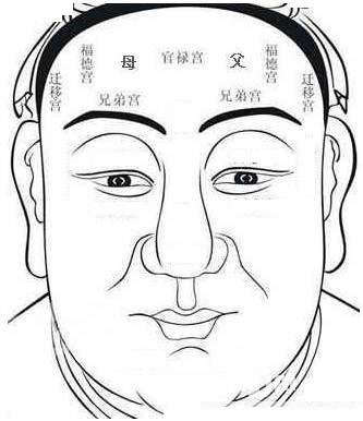 額頭有青筋面相圖解