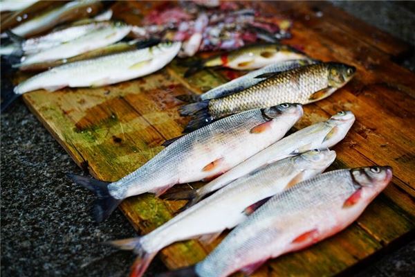 夢見好多鯽魚_周公解夢