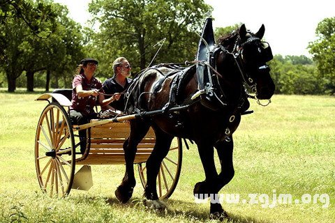 夢見雙輪馬車