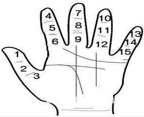 痣的位置與命運圖：09、手相手指痣相與運勢吉凶_看相大全