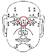 面相分析：13、十二命宮圖_看相大全