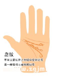 手掌紋吉凶占卜：島紋