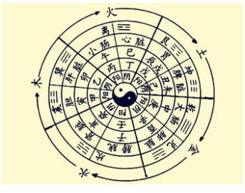 大林木命需要注意的禁忌_免費算命