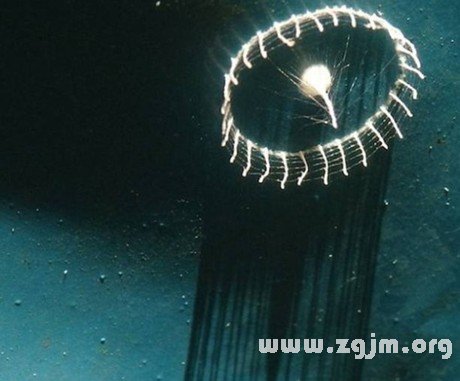 鬼夢誘因之極陰的房子_周公解夢