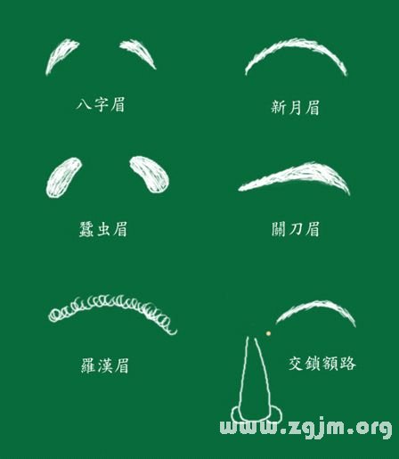 峰生水起面相學：第09課 眉毛看相_看相大全