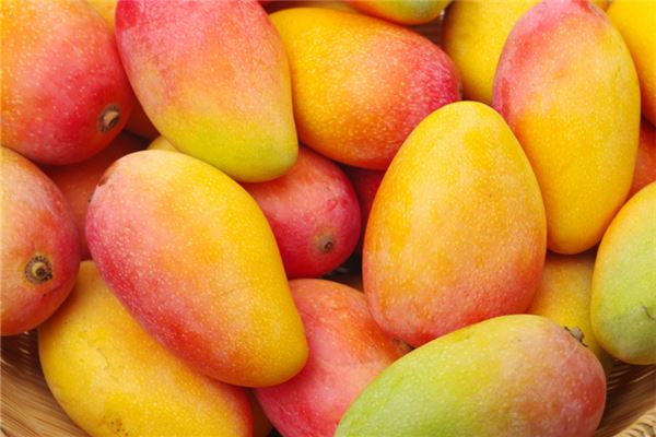 夢見摘芒果_周公解夢