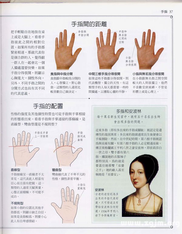 《手相學習百科》：手指