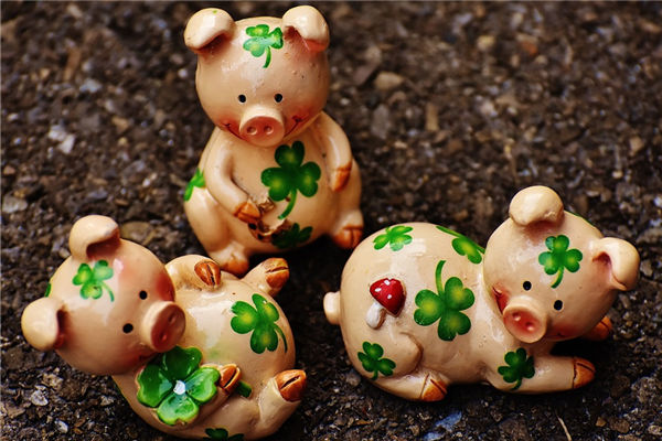 2019年3月出生屬豬性格_十二生肖