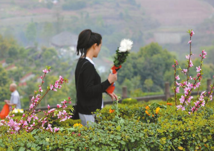 夢見給奶奶上墳