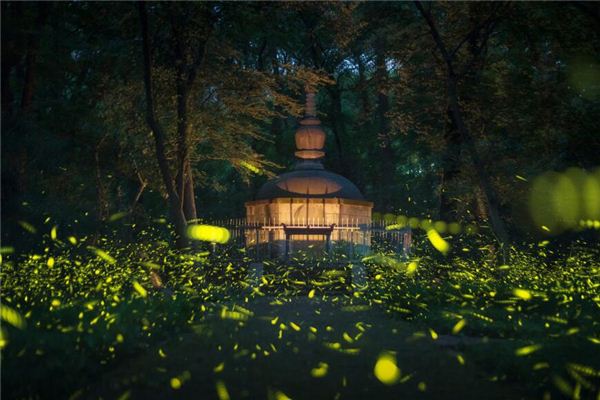 夢見古墓里取出財寶_周公解夢