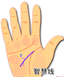 手相智慧線下垂