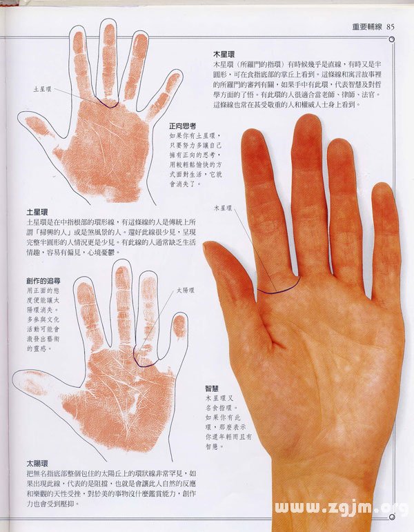 《手相學習百科》：手相重要輔線