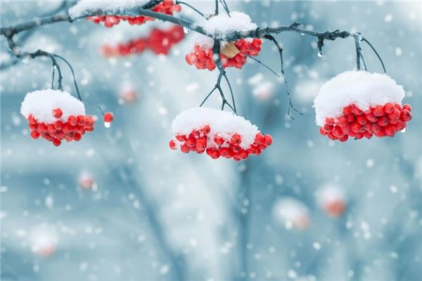 夢見下雪是要戴孝嗎_周公解夢