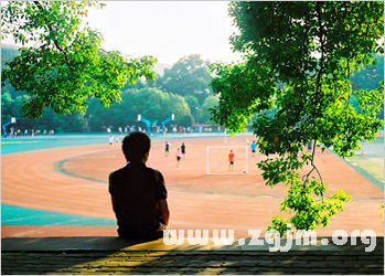 生肖牛不同生辰的運勢分析_十二生肖