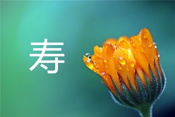 夢到壽字有什麼寓意嗎？_周公解夢