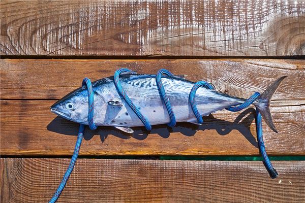 夢到了死小魚有什麼寓意嗎_周公解夢