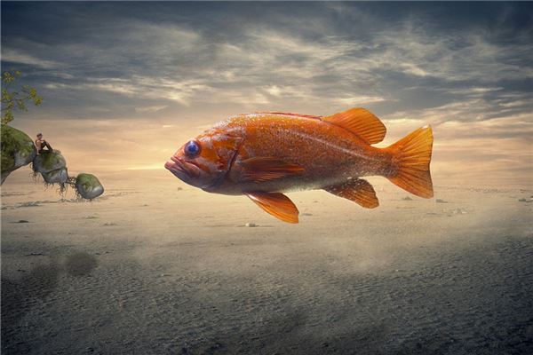 夢見魚意味著什麼_周公解夢