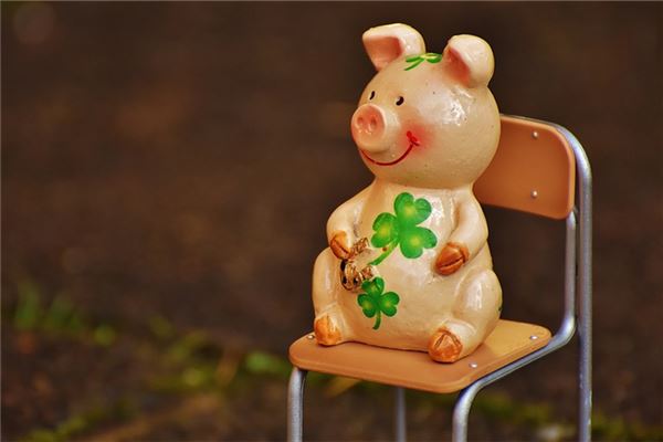 1971年的人是什麼五行_十二生肖