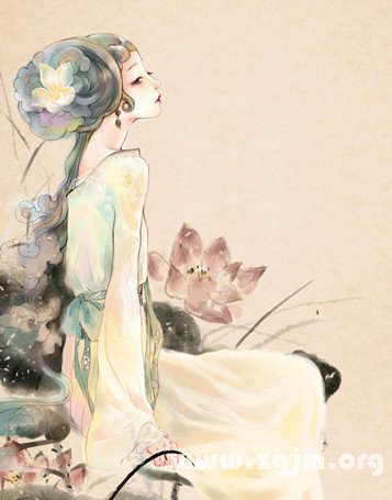對屬豬人的投資忠告_十二生肖