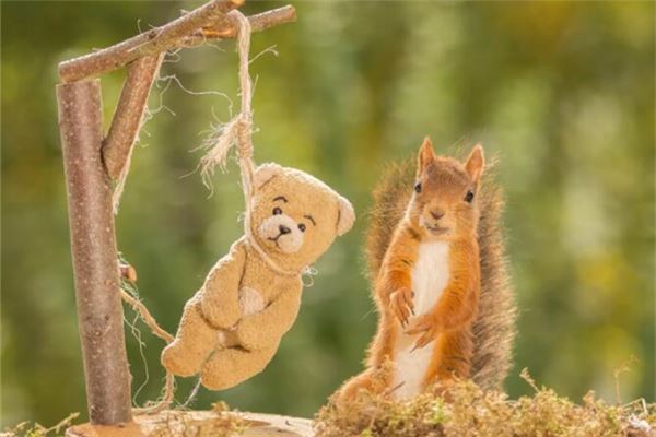 夢見吊死的人_周公解夢