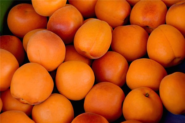 孕婦夢見吃杏_周公解夢 孕婦夢見吃杏是什麼意思_孕婦夢見吃杏好不好_周公解夢官網