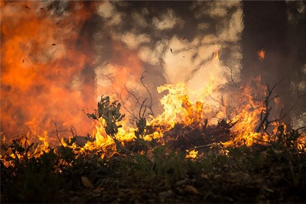 夢見山上著火了_周公解夢