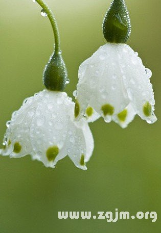 12星座靠什麼白手起家_十二星座