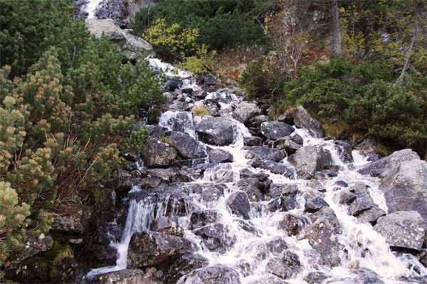 夢見流水很清澈_周公解夢