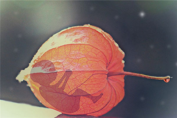 夢見自己打胎是什麼意思_周公解夢