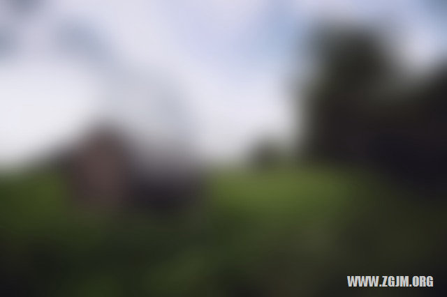 夢見好多狗圍著我_周公解夢夢到好多狗圍著我是什麼意思_做夢夢見好多狗圍著我好不好_周公解夢官網
