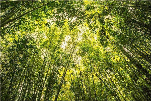 夢見爬上了懸崖是什麼徵兆_周公解夢官網