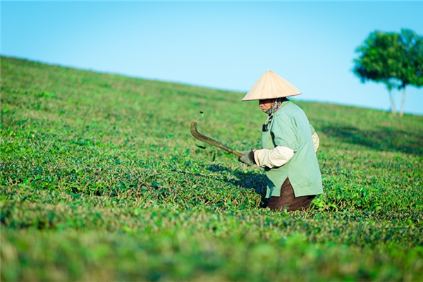 夢見別人勞動有什麼徵兆_周公解夢
